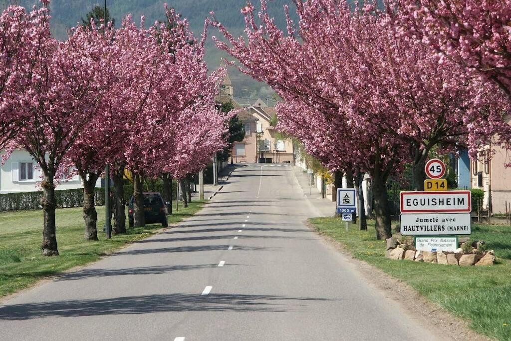 Gite A Eguisheim Proche De Colmar Et Kaysergberg. Екстериор снимка