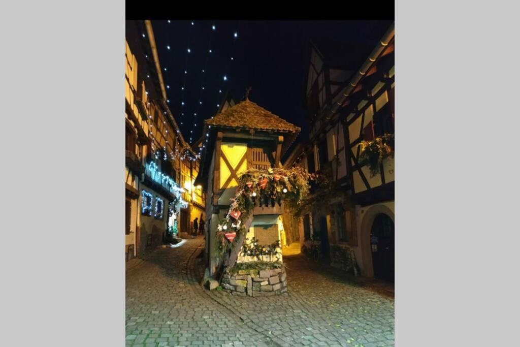 Gite A Eguisheim Proche De Colmar Et Kaysergberg. Екстериор снимка