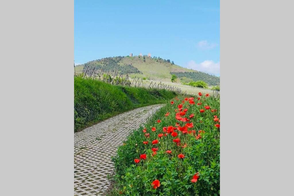 Gite A Eguisheim Proche De Colmar Et Kaysergberg. Екстериор снимка