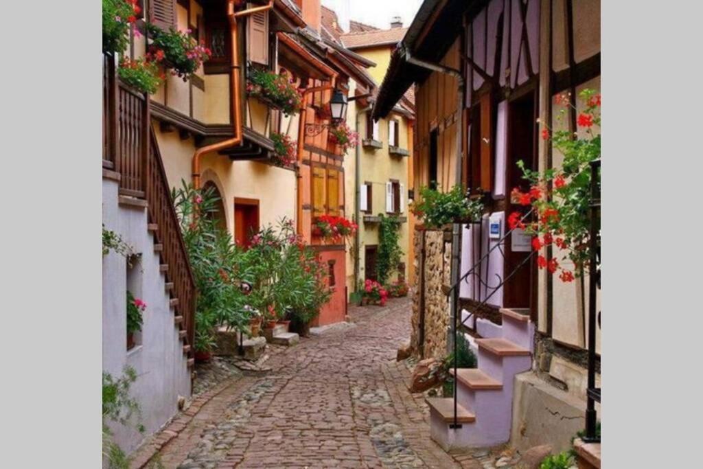 Gite A Eguisheim Proche De Colmar Et Kaysergberg. Екстериор снимка