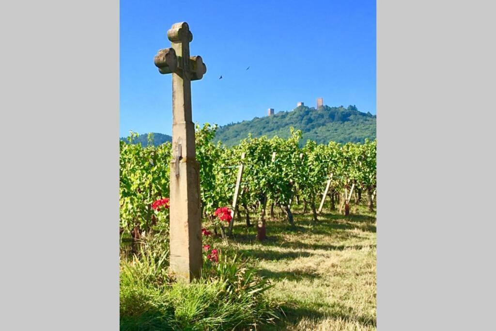 Gite A Eguisheim Proche De Colmar Et Kaysergberg. Екстериор снимка